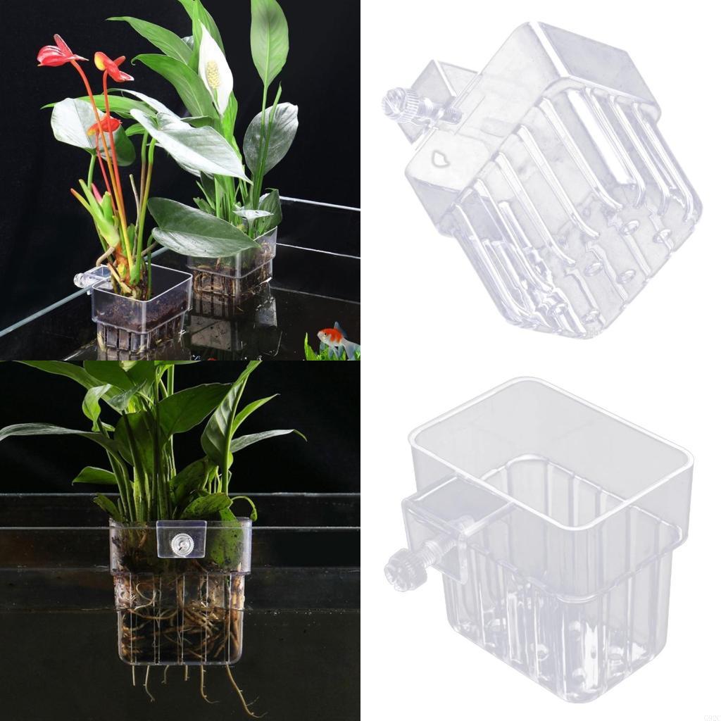 Emersed Plants Aquarium - G92C Hangings Aquarium Plant Holder Aquatic