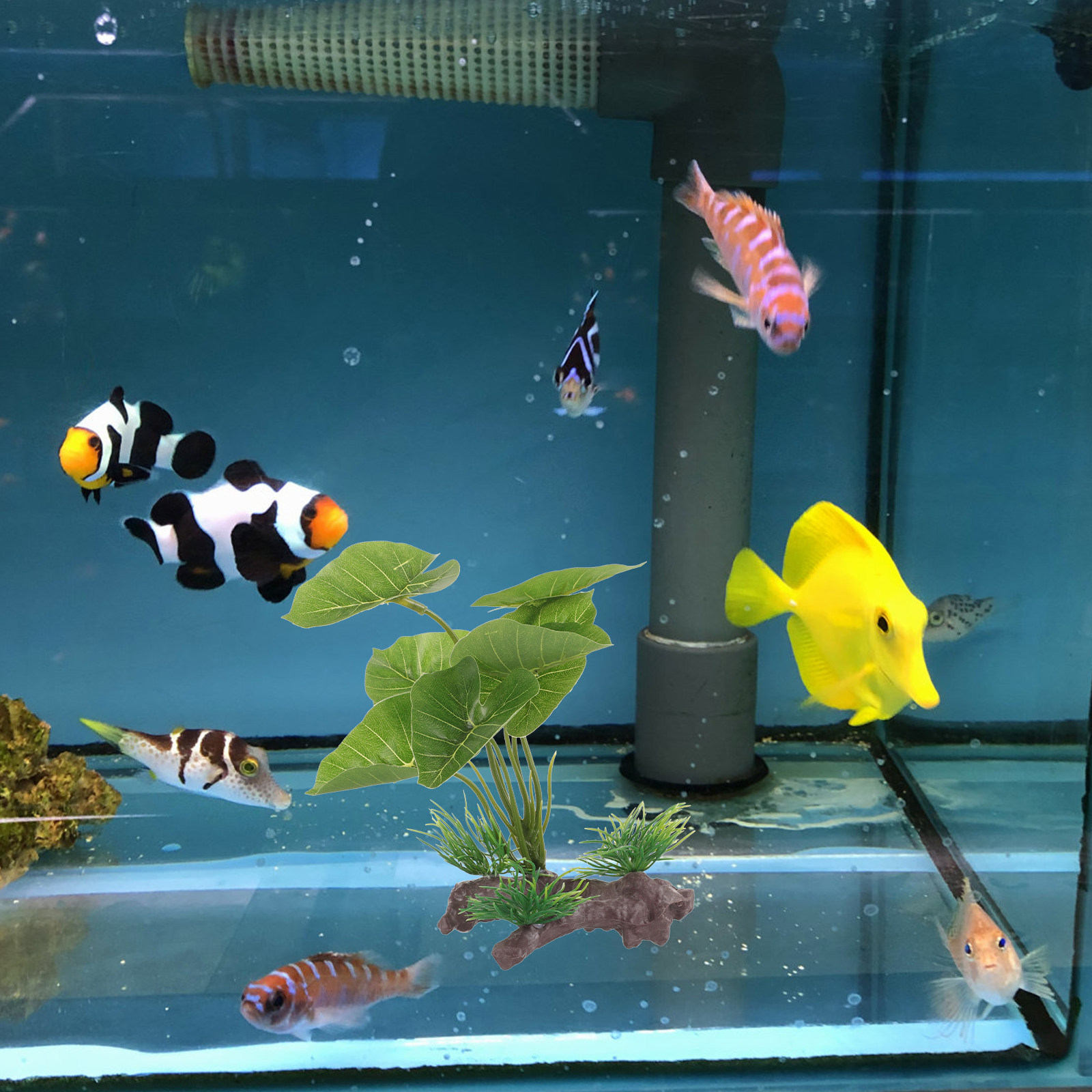 Lifelike Plastic Aquarium Plan - Planted Aquarium Care reseña y precio