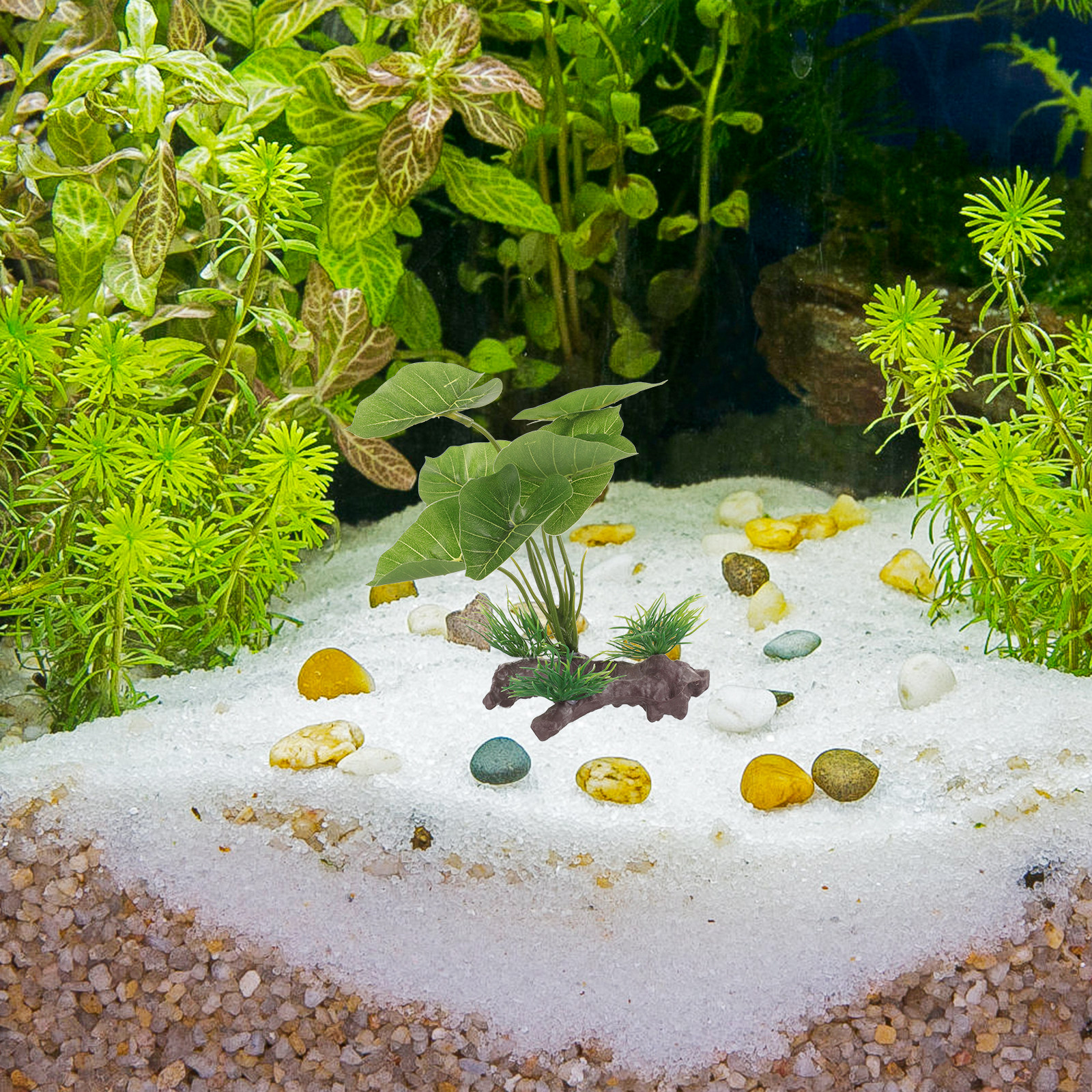 Lifelike Plastic Aquarium Plan - Planted Aquarium Care reseña y precio