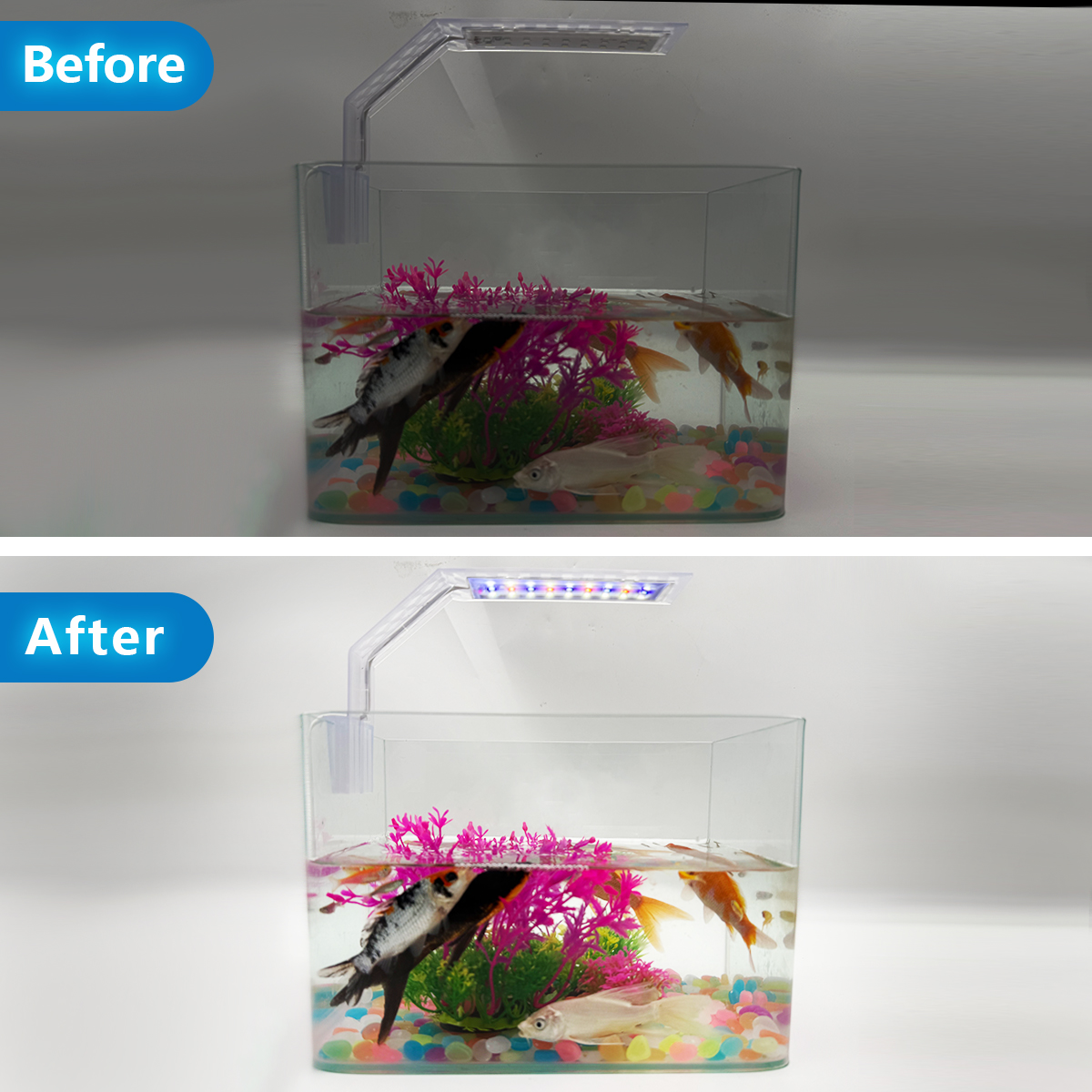 Super Slim LED Aquarium Light  - Aquarium Plant Iron reseña y precio