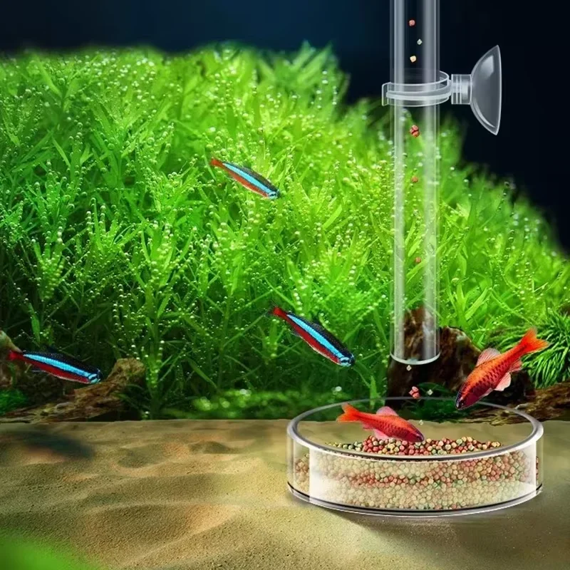 Aquarium Glass Feeding Tube &  - Aquarium Plant Red reseña y precio