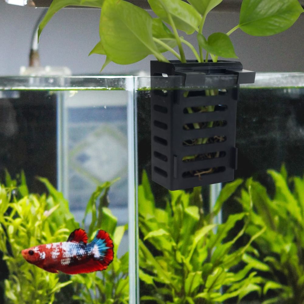 Water Plant Landscape Aquarium - Emersed Plants Aquarium reseña y precio