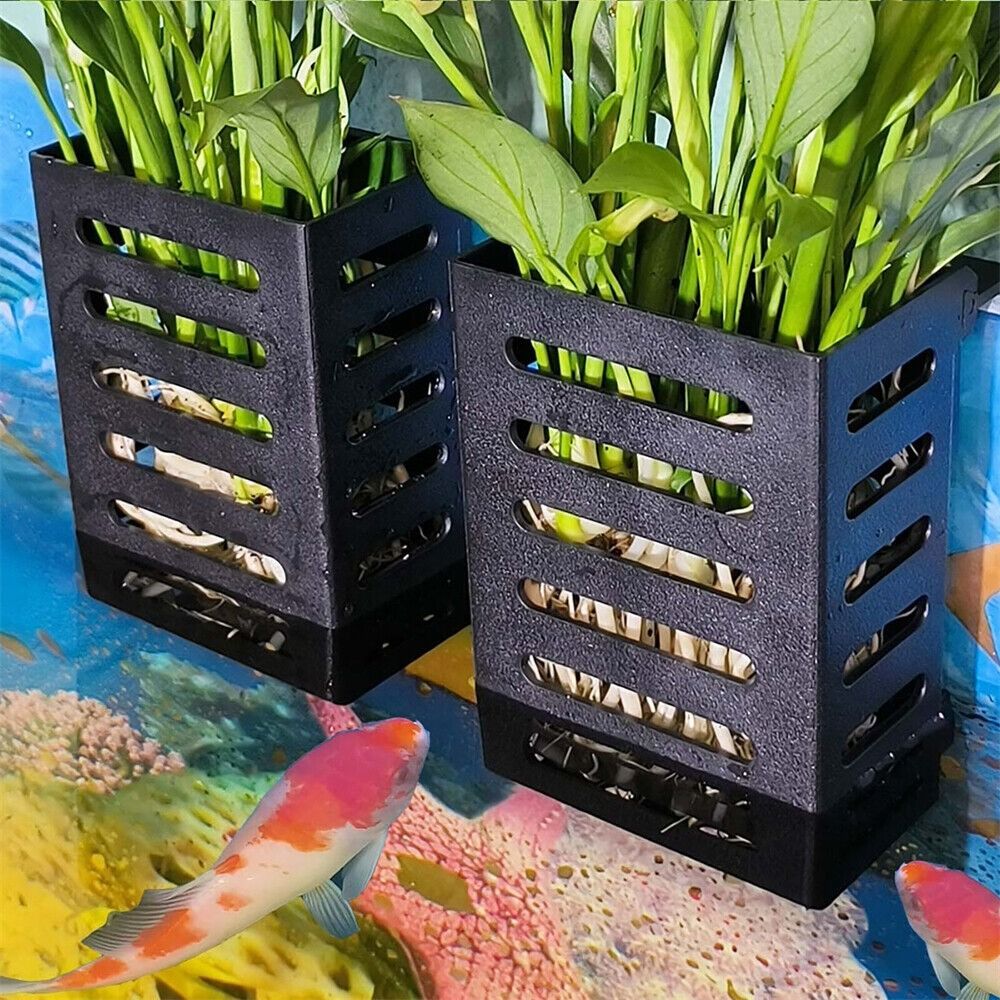 Water Plant Landscape Aquarium - Emersed Plants Aquarium reseña y precio