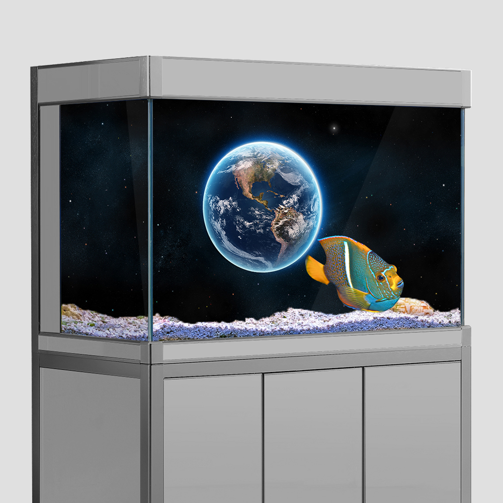 Aquarium Fish Tank  Background - Aquarium Planet reseña y precio