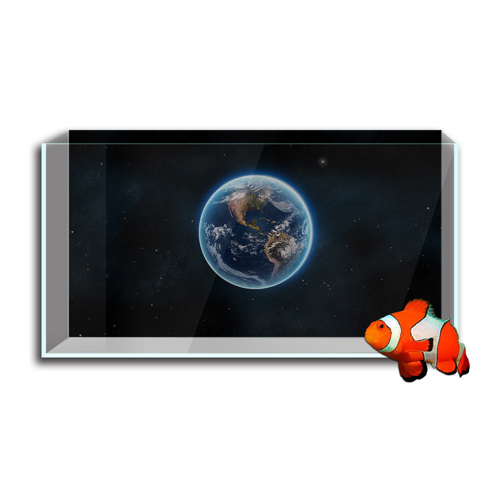 Aquarium Fish Tank  Background - Aquarium Planet reseña y precio