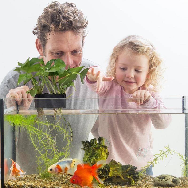 Hanging Aquarium Plant Holder  - Emersed Plants Aquarium reseña y precio