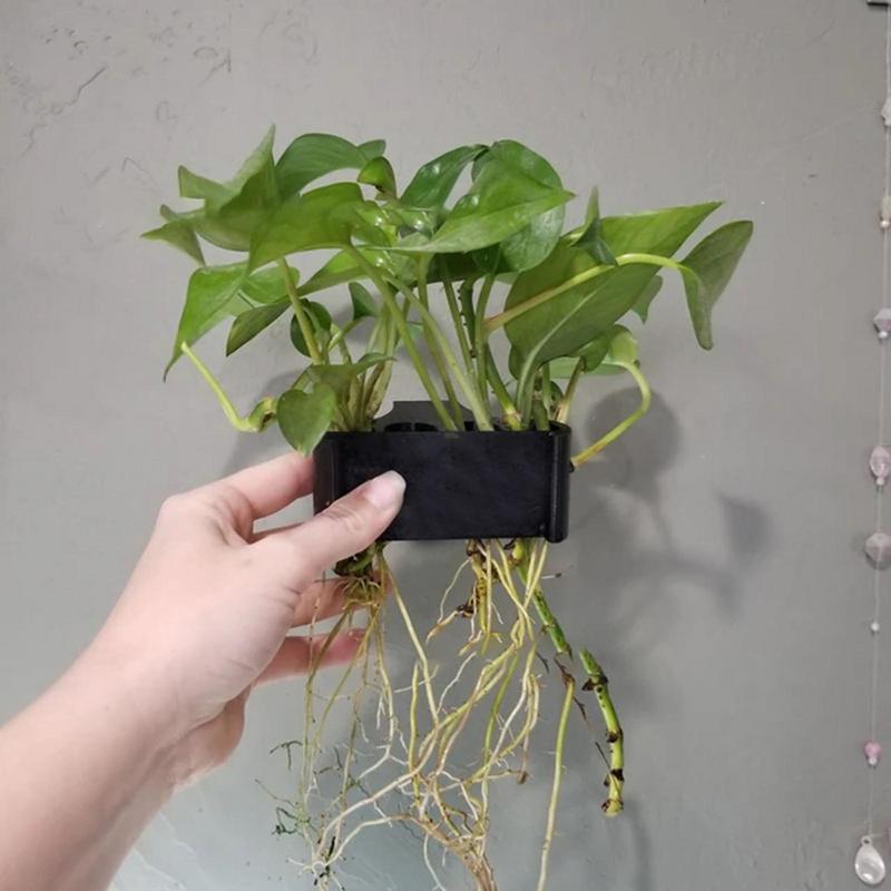 Hanging Aquarium Plant Holder  - Emersed Plants Aquarium reseña y precio