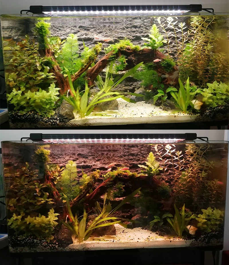 Aquarium LED Lighting 24/7 Hou - Planted Aquarium Hours reseña y precio