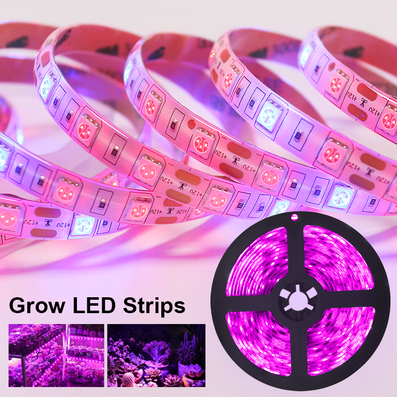 5V Grow Led Flower Aquarium Fu - Planted Aquarium Hours reseña y precio