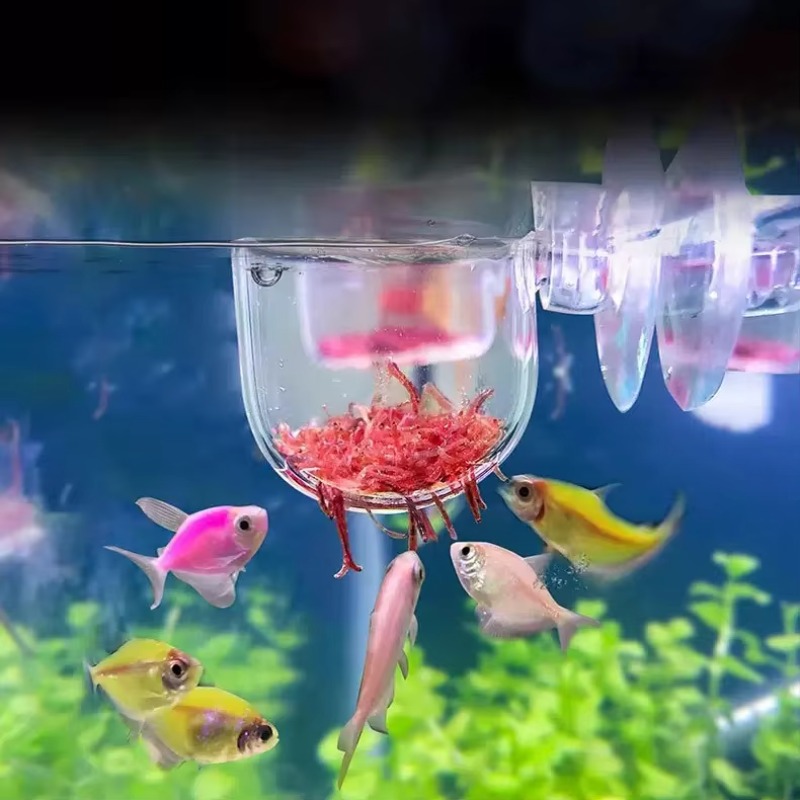 Factory Aquarium Decoration Ha - Aquarium Plant Factory reseña y precio
