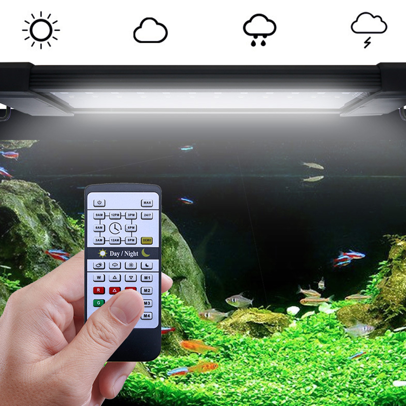Liweida 24 Hours Natural Light - Planted Aquarium Hours reseña y precio