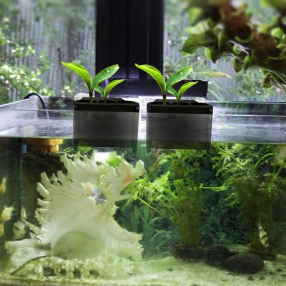 With Integrated Hook Aquarium  - Emersed Plants Aquarium reseña y precio