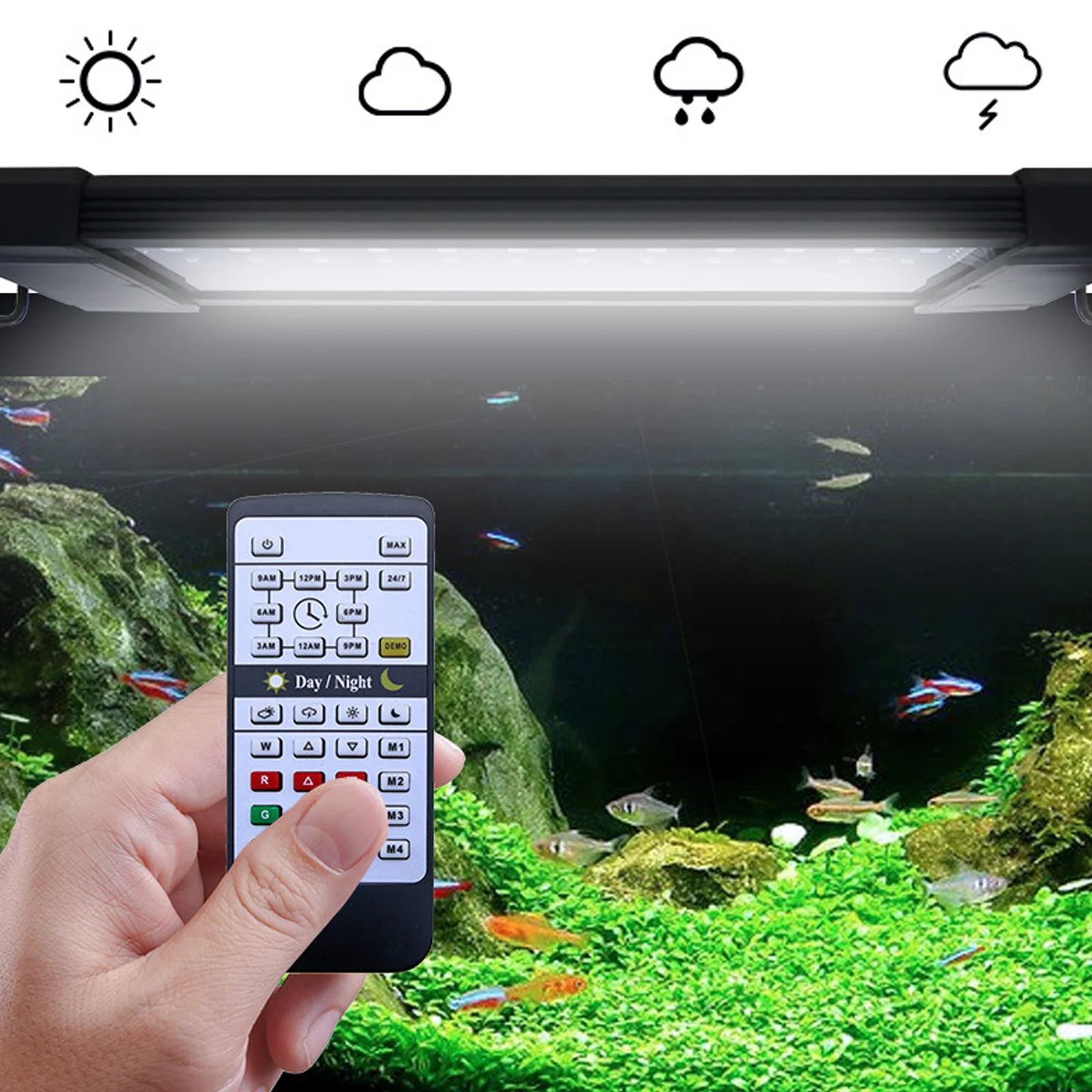 Liweida 24 Hours Natural Light - Planted Aquarium Hours reseña y precio