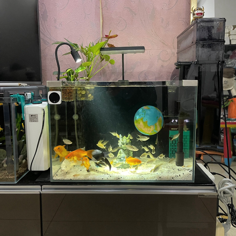 Planet Series Fish Tank Hiding - Aquarium Planet reseña y precio