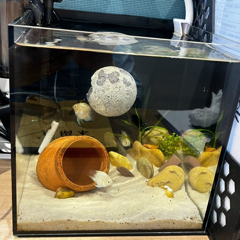 Planet Series Fish Tank Hiding - Aquarium Planet reseña y precio