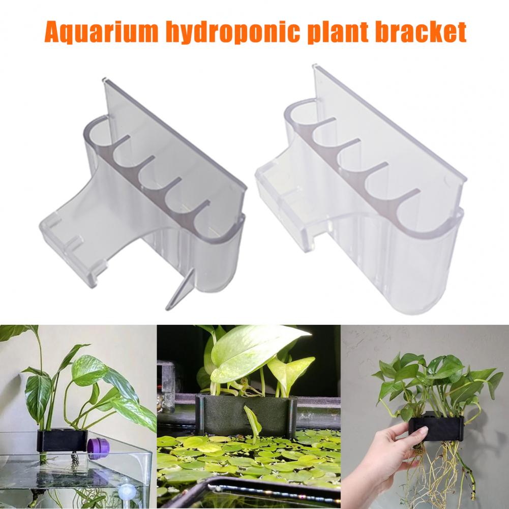4.5/6.5cm Aquarium Plant Holde - Aquarium Plant Holder reseña y precio