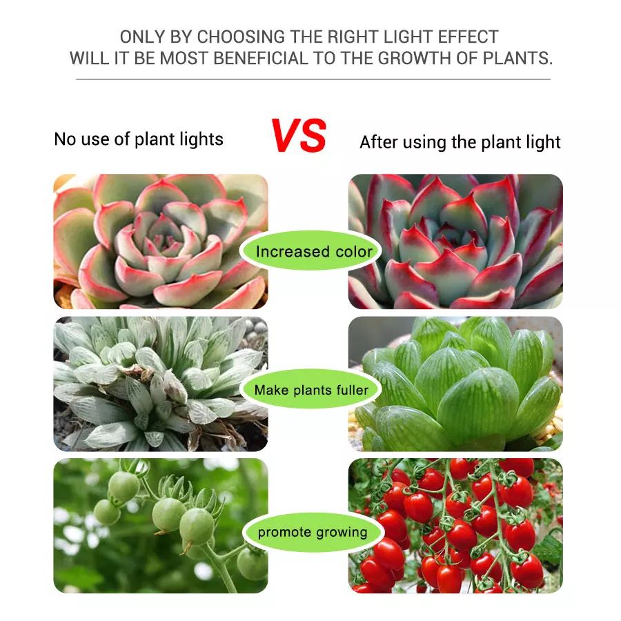 LED5V Light Bar Flower Aquariu - Planted Aquarium Hours reseña y precio