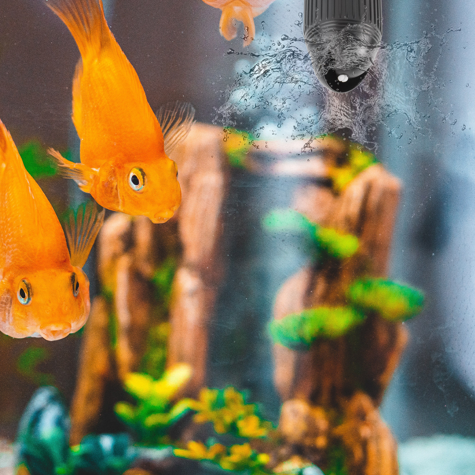 1Pcs Wave Maker for Aquarium F - Aquarium Plant Iron reseña y precio