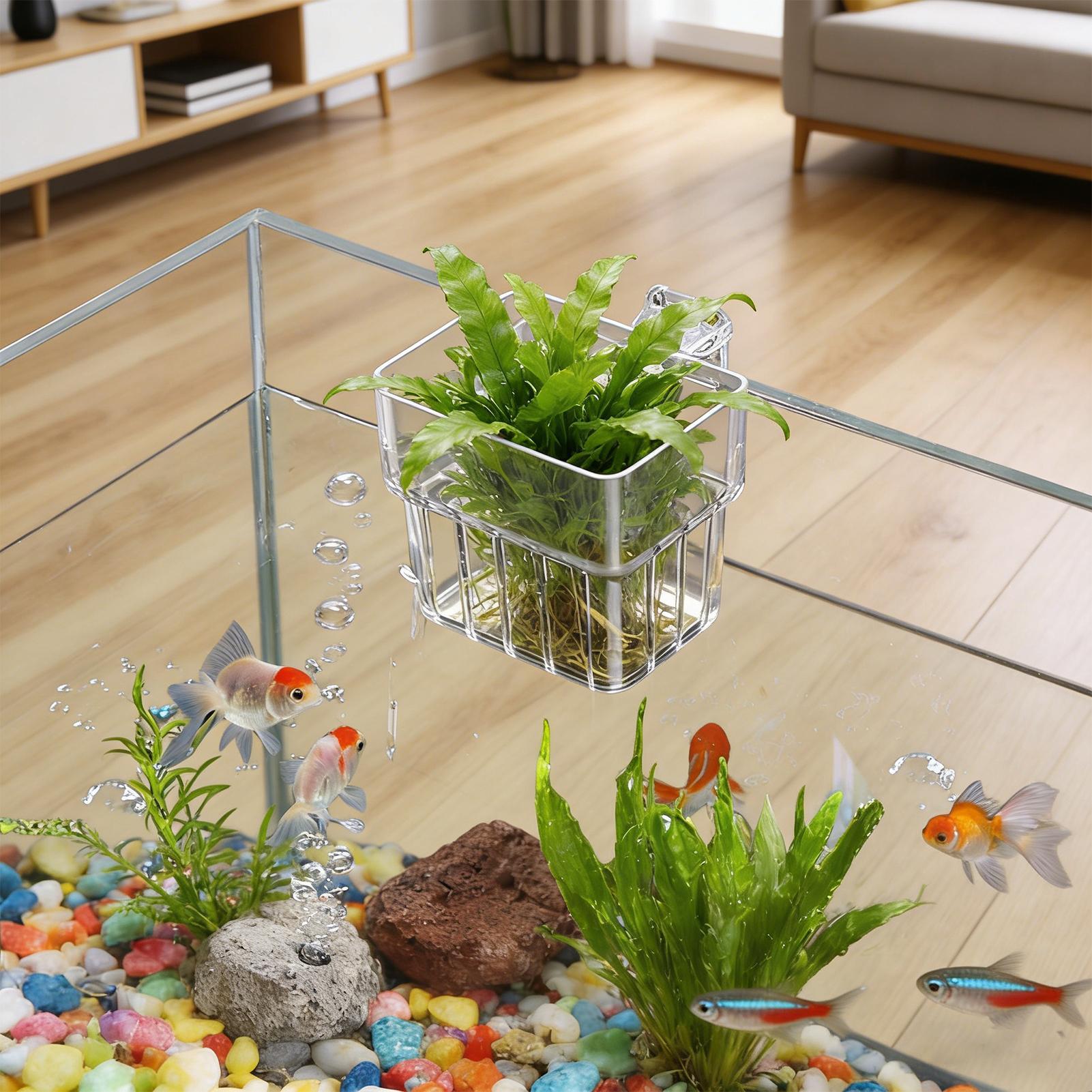 Fish Tank Fixed Basket Wall mo - Aquarium Plant Holder reseña y precio
