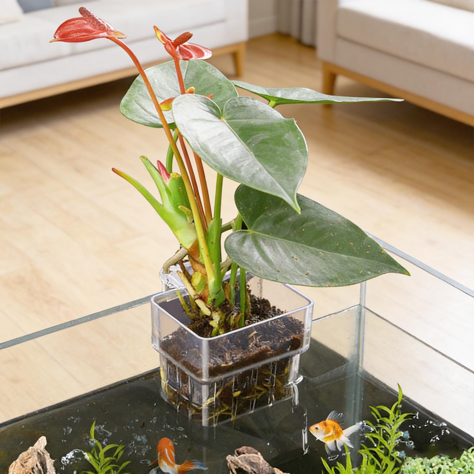 Fish Tank Fixed Basket Wall mo - Aquarium Plant Holder reseña y precio