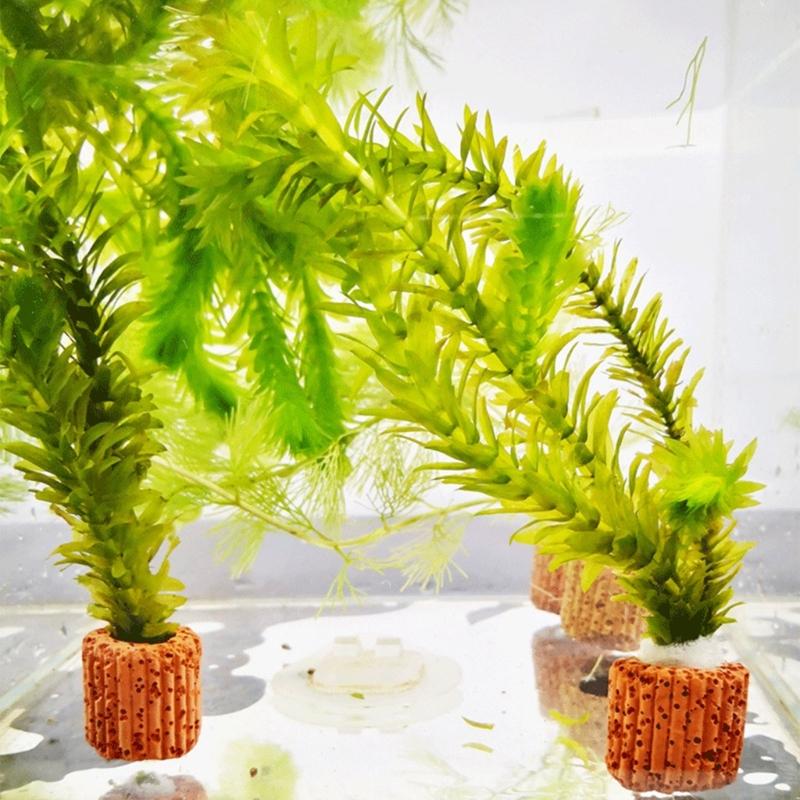 QX2E Paottery Aquariums Plant  - Emersed Plants Aquarium reseña y precio