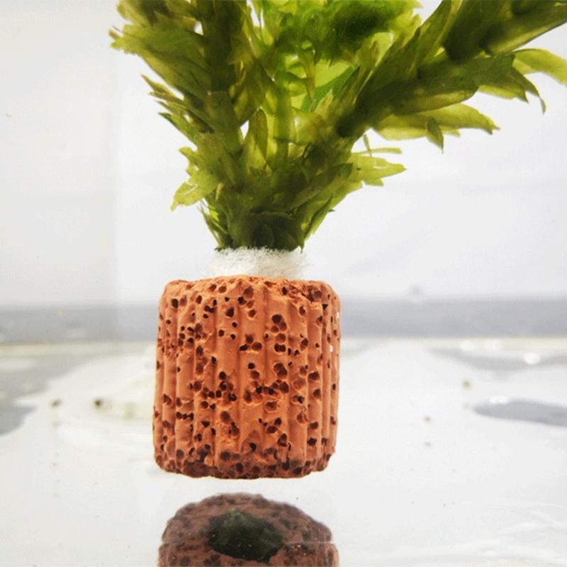 QX2E Paottery Aquariums Plant  - Emersed Plants Aquarium reseña y precio