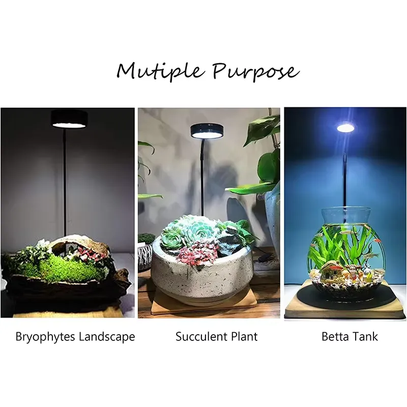 Full Spectrum LED Light with B - Planted Aquarium Hours reseña y precio