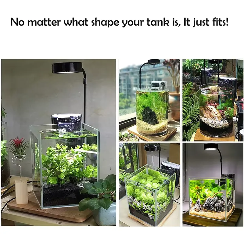 Full Spectrum LED Light with B - Planted Aquarium Hours reseña y precio