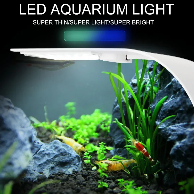 Super Slim LED Aquarium Light  - Planted Aquarium Pictures reseña y precio