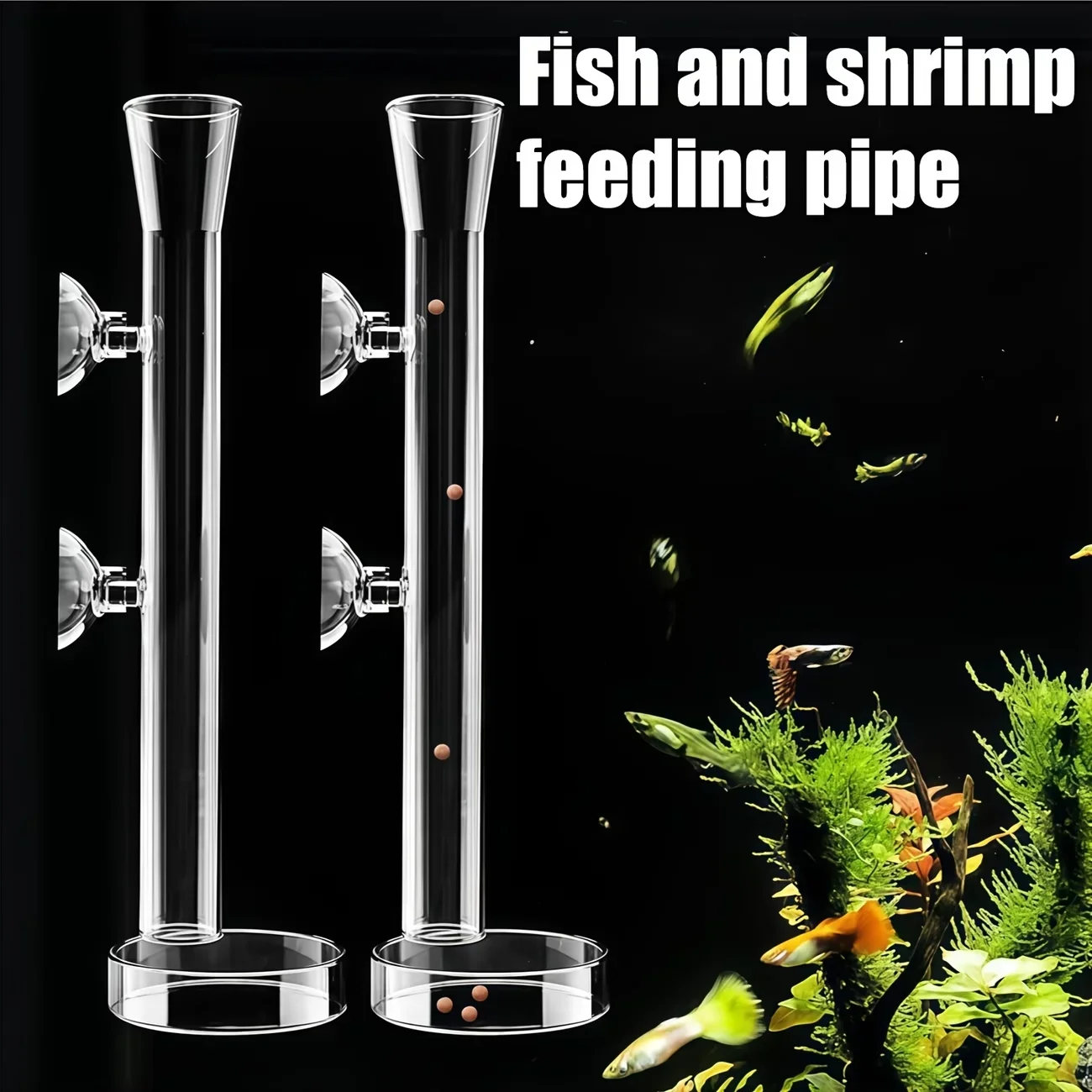 A Top Quality Aquarium Glass F - Aquarium Plant Red reseña y precio