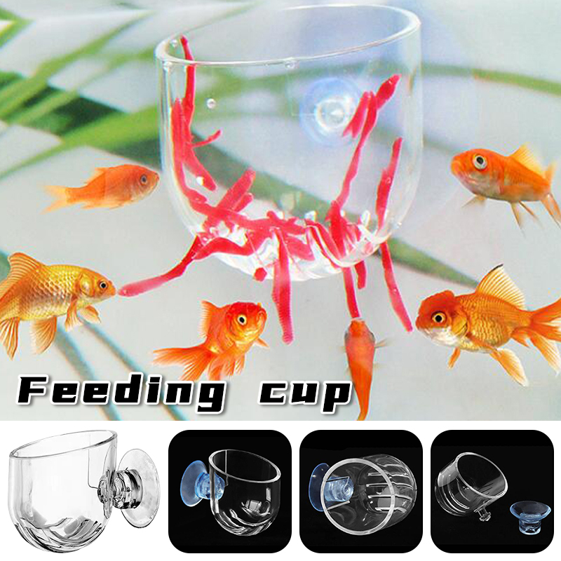 Fish Tank Red Worm Feeder Cup  - Aquarium Plant Red reseña y precio