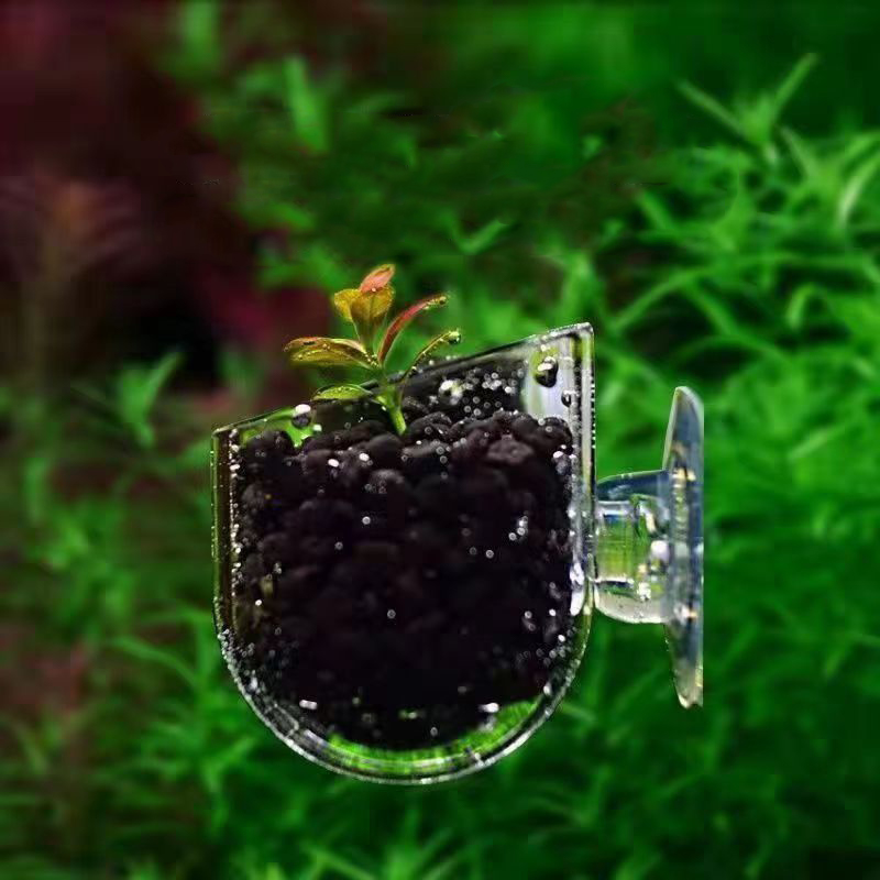 Fish Tank Red Worm Feeder Cup  - Aquarium Plant Red reseña y precio