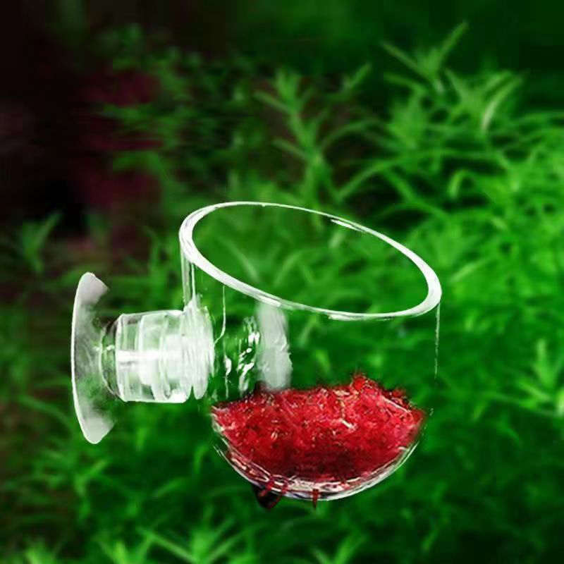 Fish Tank Red Worm Feeder Cup  - Aquarium Plant Red reseña y precio