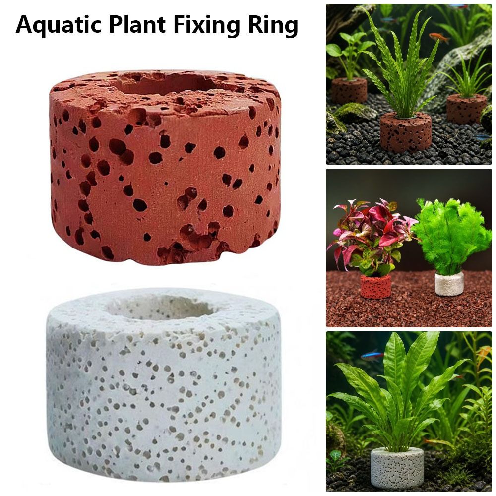 10Pcs Weighted Ring Aquatic Pl - Planted Aquarium Pictures reseña y precio