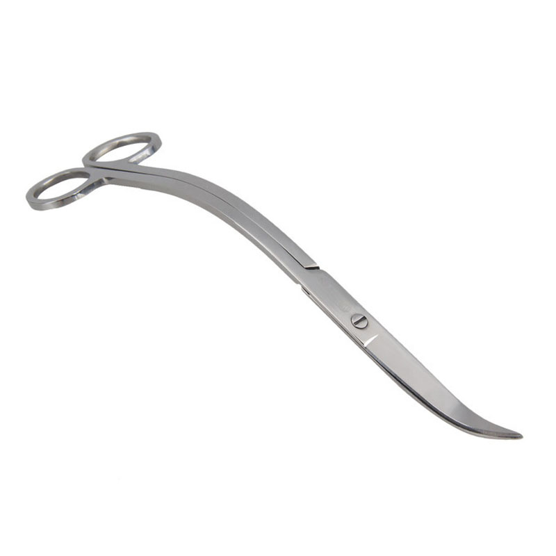 Aquarium Scissor Tools Fish Ta - Aquarium Plant Holder reseña y precio