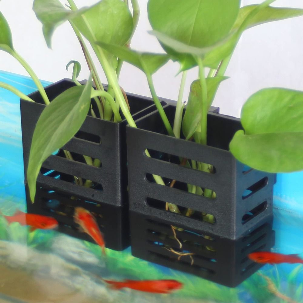 Hydroponic Aquarium Glass Plan - Emersed Plants Aquarium reseña y precio