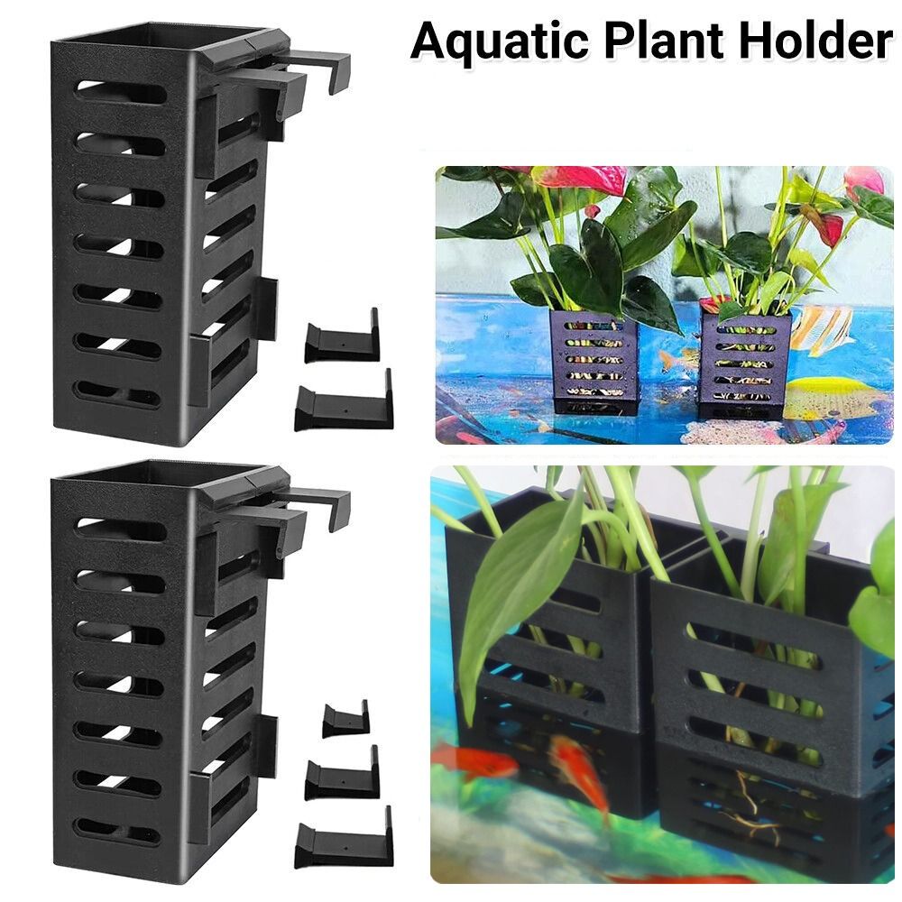 Hydroponic Aquarium Glass Plan - Emersed Plants Aquarium reseña y precio