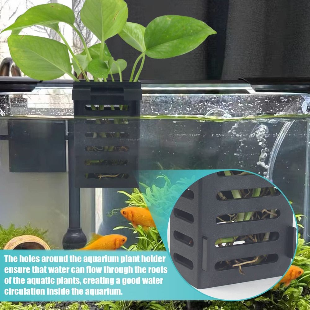 Hydroponic Aquarium Glass Plan - Emersed Plants Aquarium reseña y precio