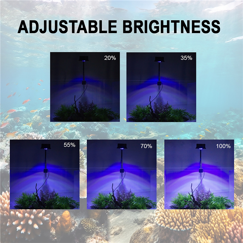 30W Aquarium Fish Tank Sea Wat - Aquarium Plant Iron reseña y precio