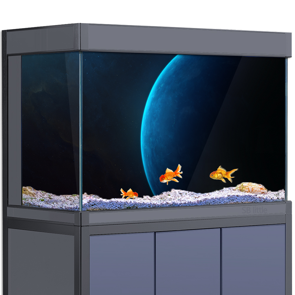 Aquarium Background Sticker -  - Aquarium Planet reseña y precio