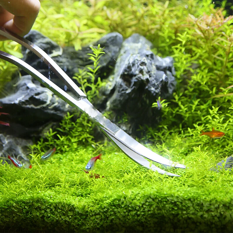 Aquarium Scissor Tools Fish Ta - Aquarium Plant Holder reseña y precio