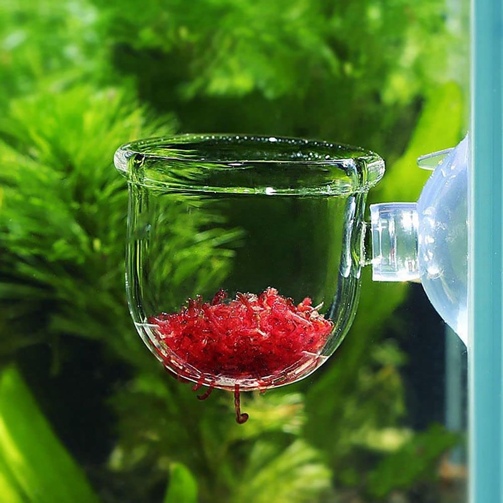 Plant Holder for Fish Tank Cle - Aquarium Plant Holder reseña y precio