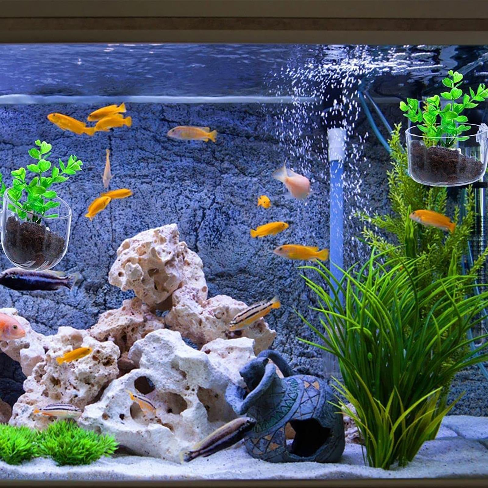 Plant Holder for Fish Tank Cle - Aquarium Plant Holder reseña y precio