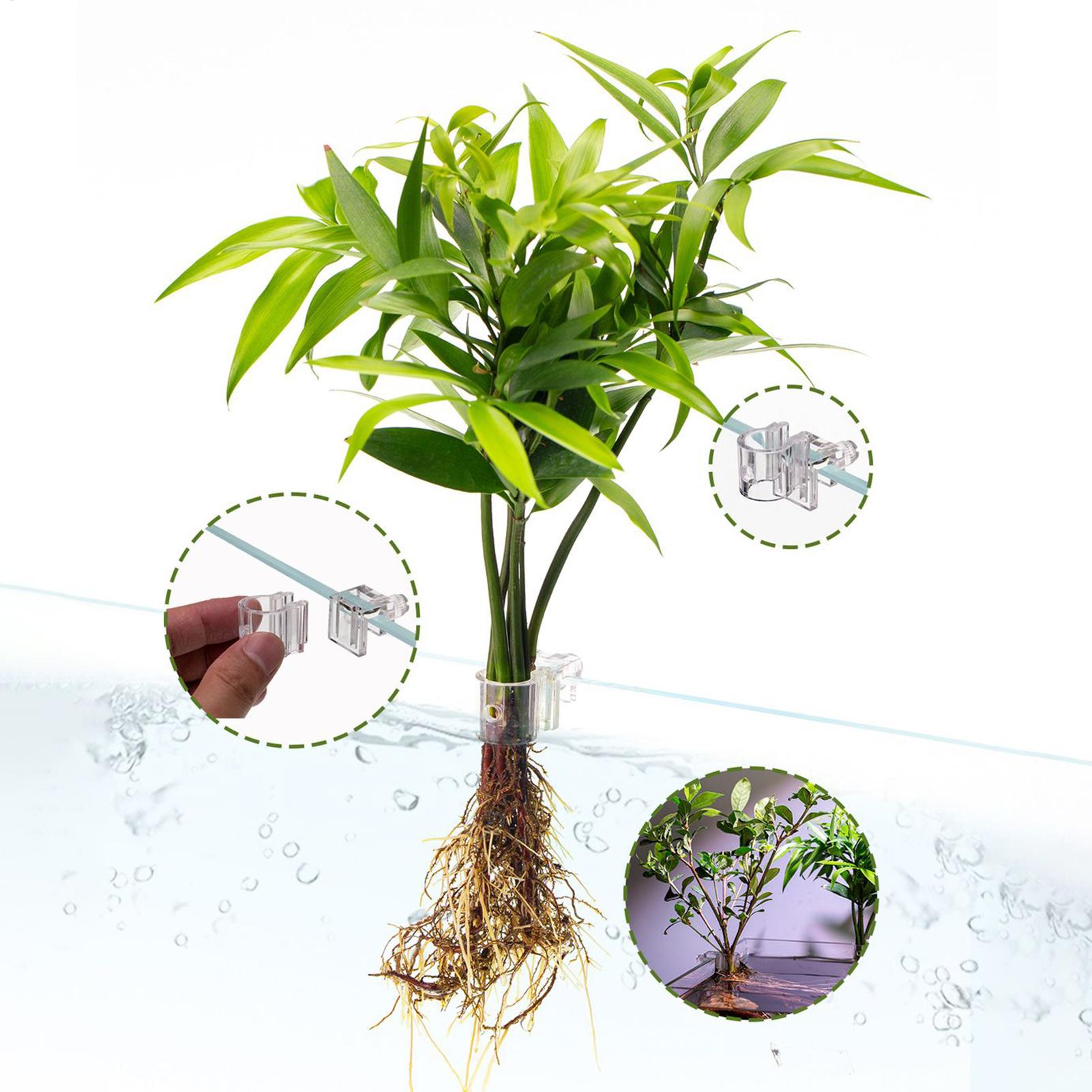 Mini Fish Tank Planter Pot 6Pc - Aquarium Plant Holder reseña y precio