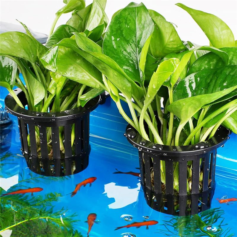 -2 Pk Aquarium Plant Holder Wi - Aquarium Plant Holder reseña y precio