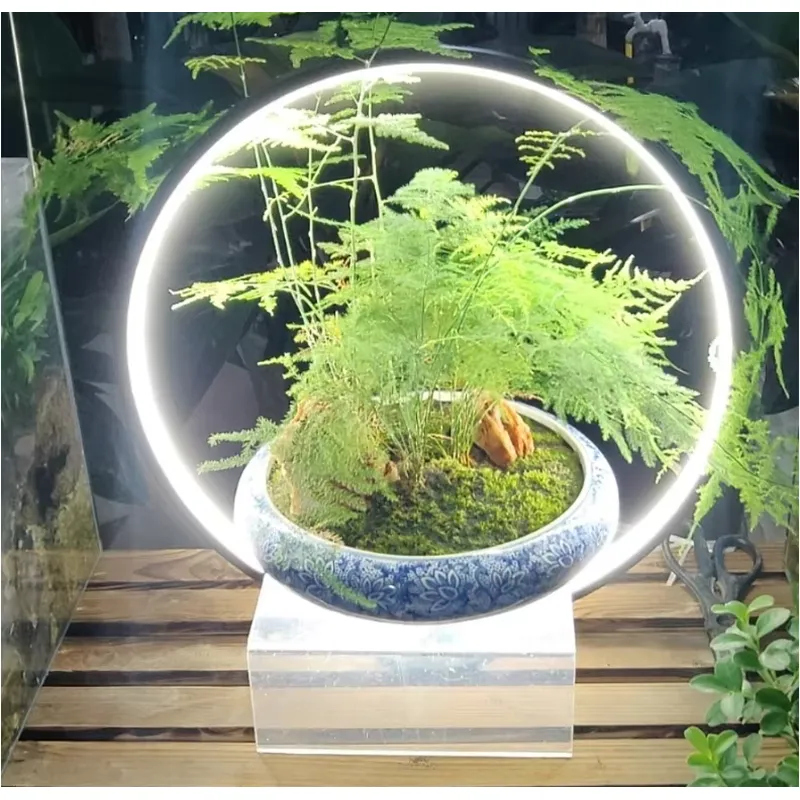 Desktop LED Aquarium Lamp for  - Planted Aquarium Hours reseña y precio