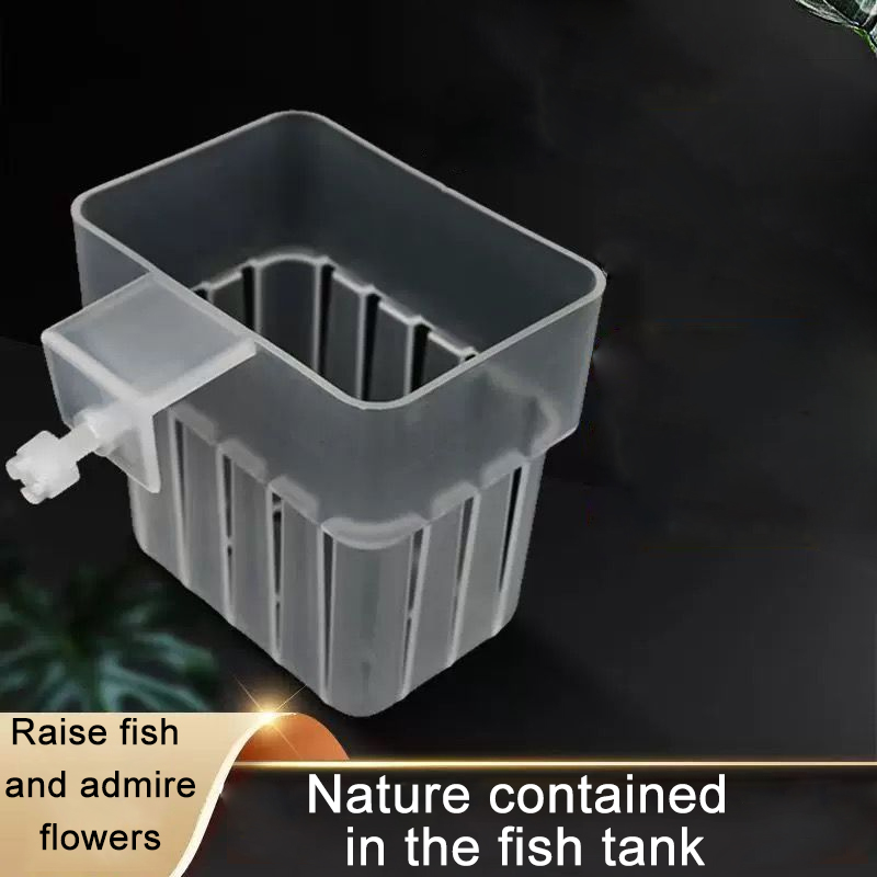 Aquarium Transparent Hydroponi - Aquarium Plant Holder reseña y precio