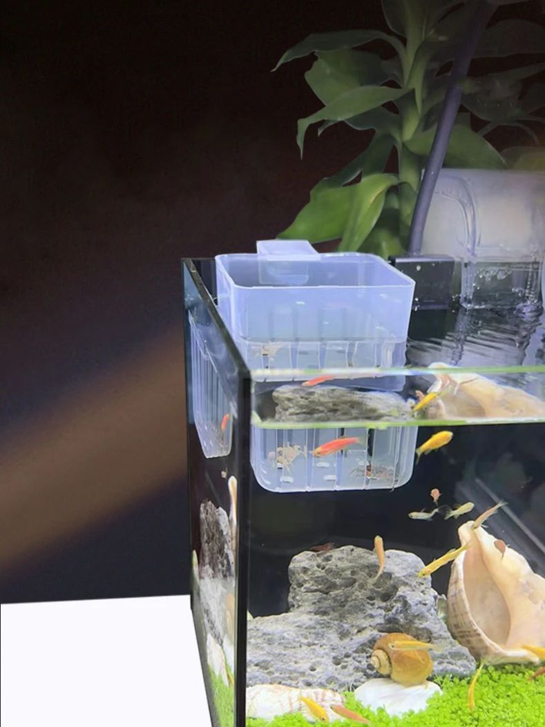 Aquarium Transparent Hydroponi - Aquarium Plant Holder reseña y precio