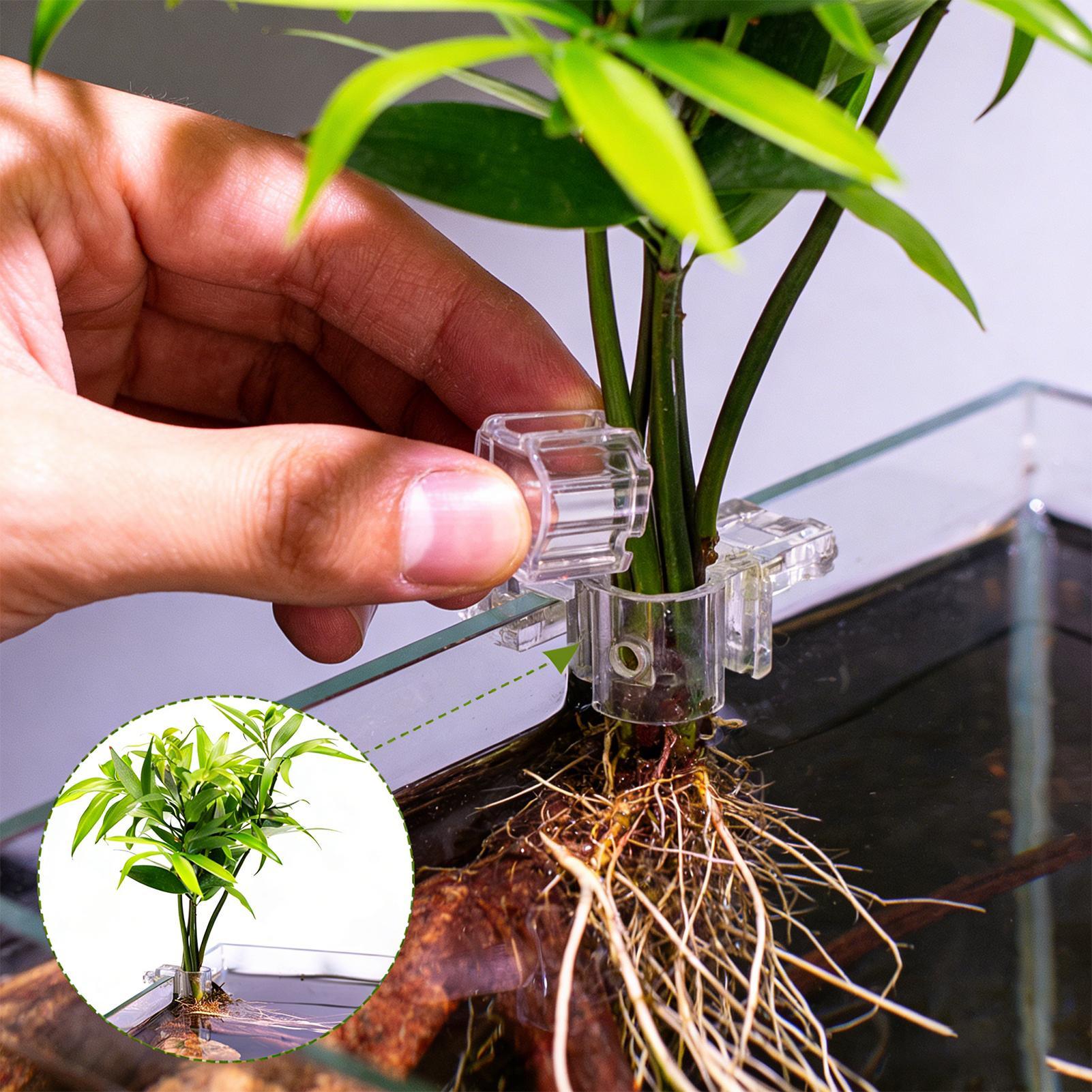 6pcs Aquarium Plant Holders Cl - Aquarium Plant Holder reseña y precio