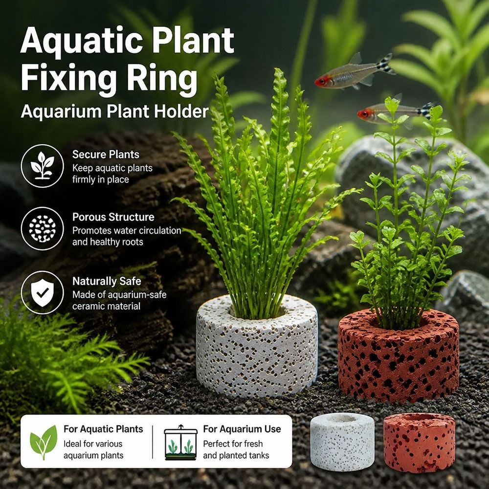 10Pcs Weighted Ring Aquatic Pl - Planted Aquarium Pictures reseña y precio